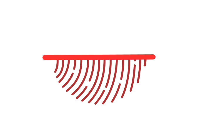 fingerprint